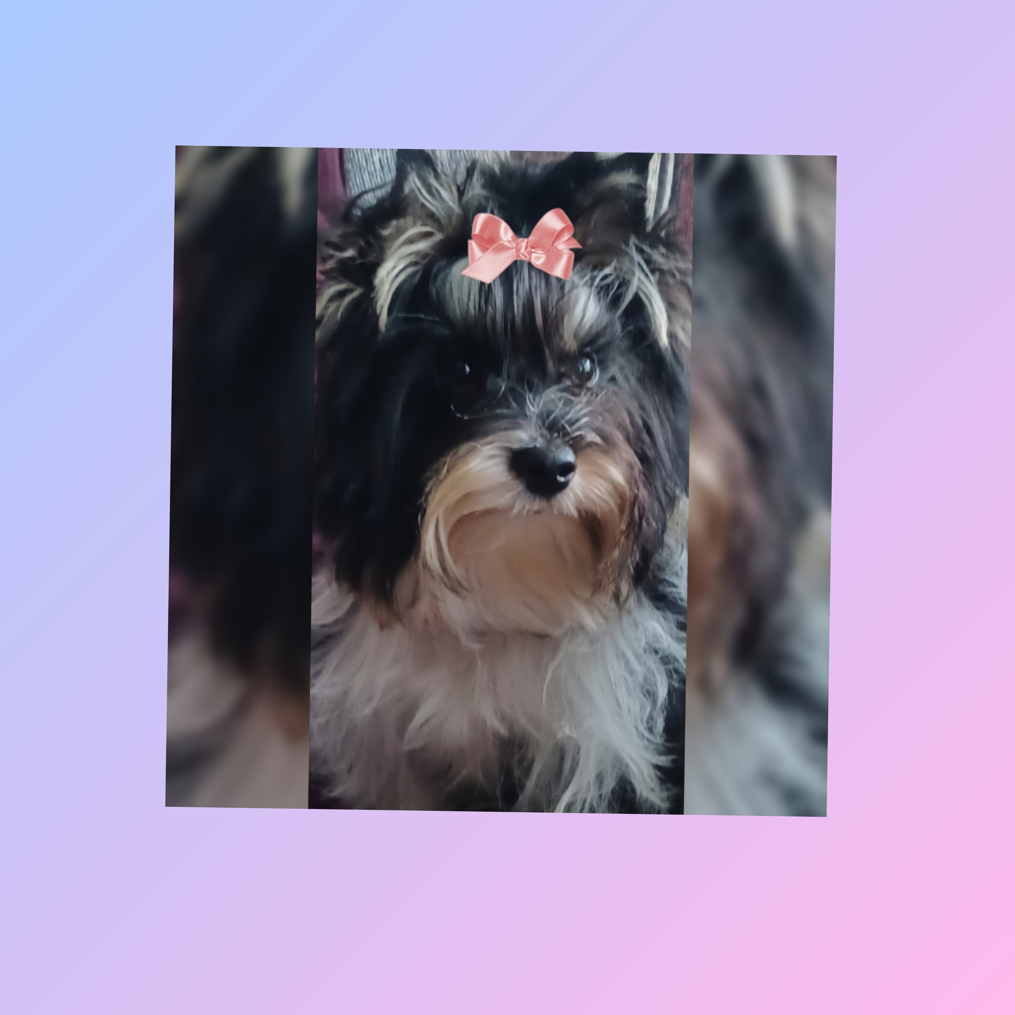 Zaylee ByGrace