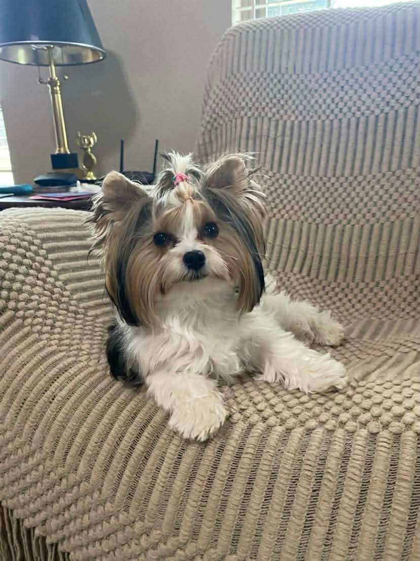 Bonnie